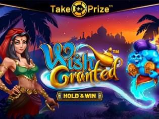 Wish Granted icon