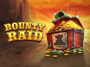 Bounty Raid game cover